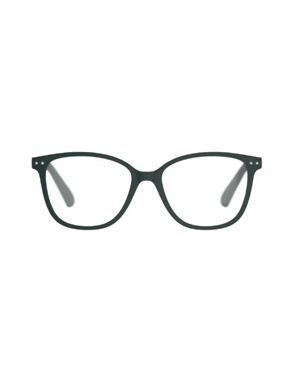 BR 003